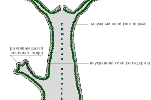 Кракен зеркало орион